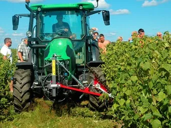 MARJA- JA PUUVILJA ISTANDUSED - 6