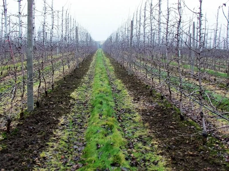 VAHELTHARIJA ISTANDUSTESSE - 7