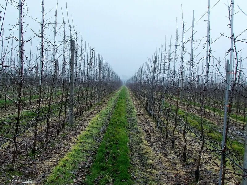 VAHELTHARIJA ISTANDUSTESSE - 8