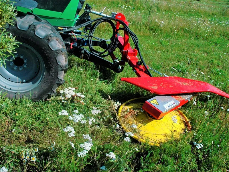 RIDADEVAHELINE NIIDUK - 5