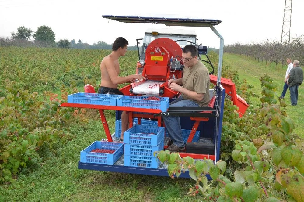 MARJA- JA PUUVILJA ISTANDUSED