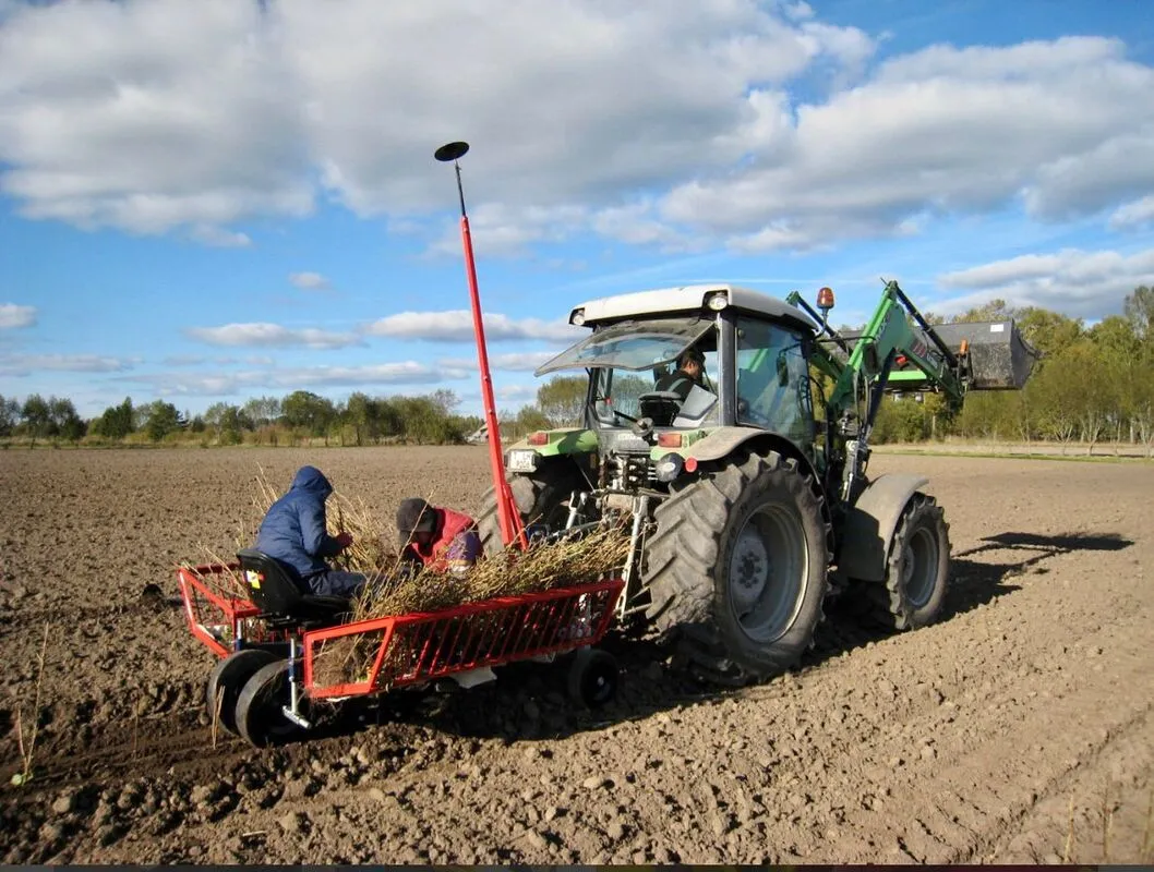 Marja- ja puuvilja istandused